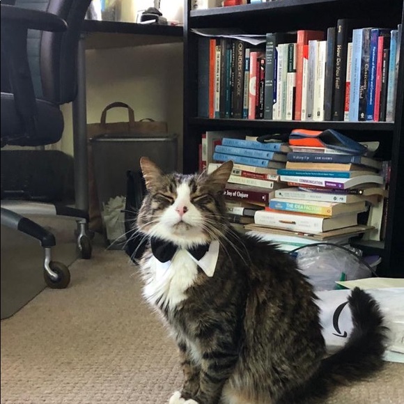 Meet your Posher, Anaïs - Picture 4 of 8